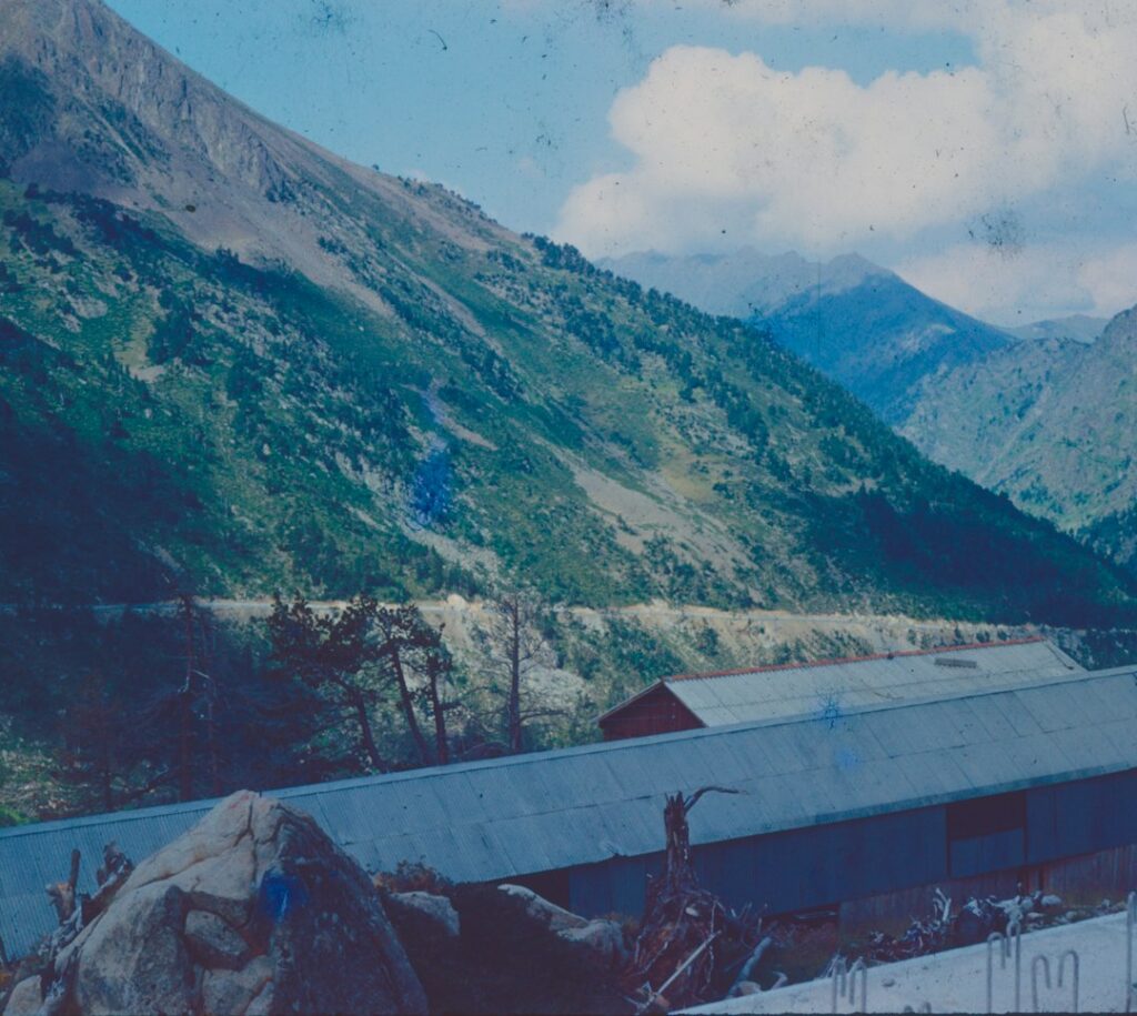 Roof valley with damaged shingles, exposed flashing, and leaves collected along the drainage channel.