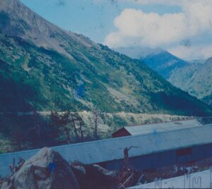Roof valley with damaged shingles, exposed flashing, and leaves collected along the drainage channel.
